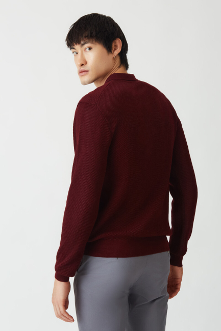 Erkek Slim Fit Polo Yaka Triko Bordo - Bisse (1)